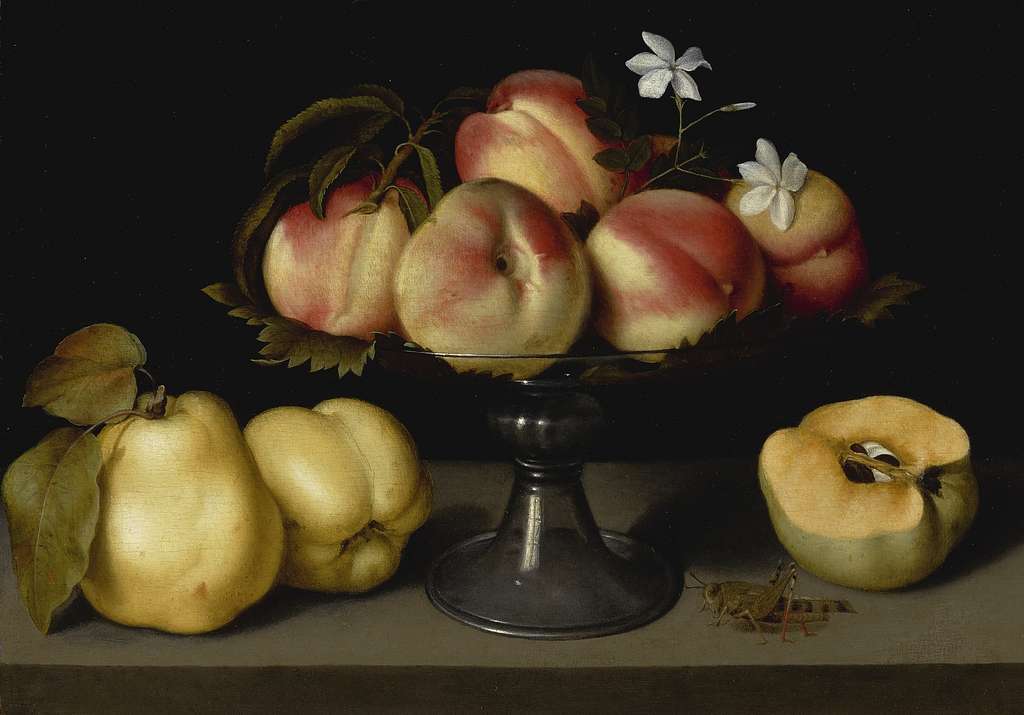 File:Jan van Huysum (Dutch - Fruit Piece - Google Art Project.jpg