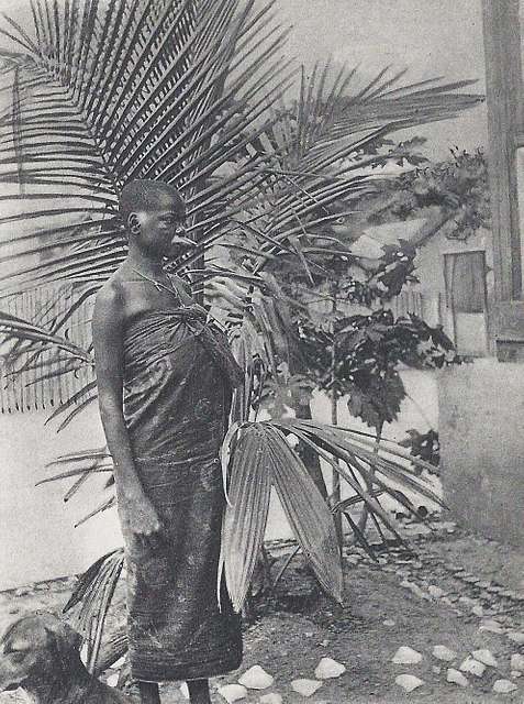 belgian congo, Group of Topless Native Mandibu Women (1920s) Postcard