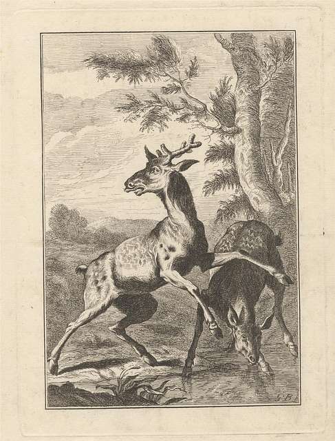 George Bickham the Elder - Two Deer, a Pl for ^A New Drawing Book of ...