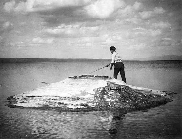 Man pole fishing on the geyser known as the Fishing Cone, Yellowstone Lake,  Yellowstone National Park, circa 1889 (AL+CA 2513) - PICRYL - Public Domain  Media Search Engine Public Domain Image