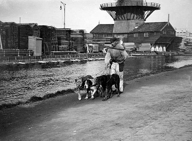 Een venter en trekhonden bij houtzaagmolen de Vlaggeman en de ...