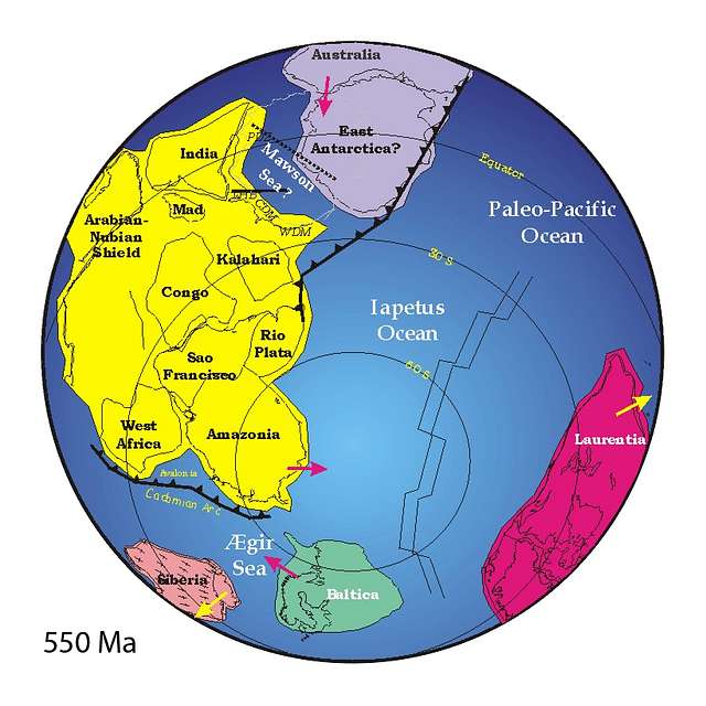 Positions of ancient continents, 550 million years ago - PICRYL ...
