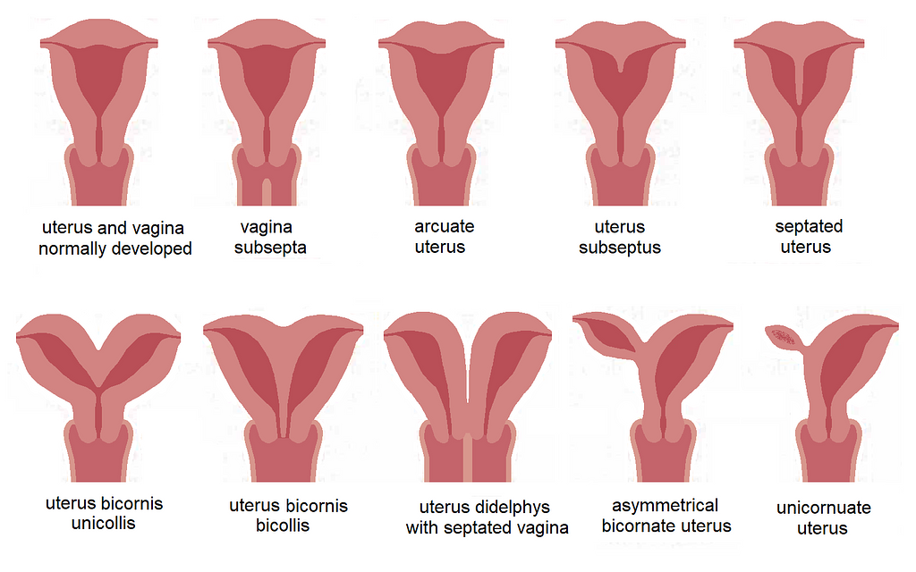 The diagnosis, pathology and treatment of diseases of women