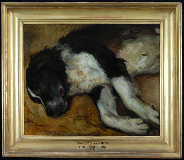 Ary Scheffer - Turc, de hond van de kunstenaar, na zijn dood - DM-S-76 ...