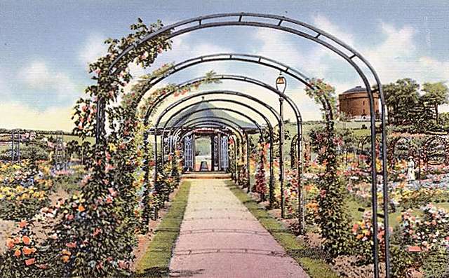 E.M. Mills Rose Garden at Thornden Park