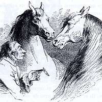 Gleason's horse book The only authorized work by America's king of horse  tamers, comprising history, breeding, training, breaking, buying, feeding,  grooming, shoeing, doctoring, telling age and general care of the horse .