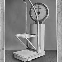 Fichier:Modèle réduit de guillotine avec le panier servant à la réception  du corps, PM84(13).jpg — Wikipédia
