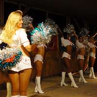 The Miami Dolphins, Salute To Service Game – Ultimate Cheerleaders