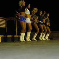 DVIDS - Images - Minnesota Vikings Cheerleaders Performance [Image