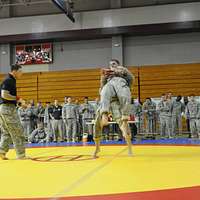 The NFL Honors Servicemembers at Pro Bowl 2013 XLVII, Article