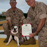 DVIDS - Images - Officer Snook and Billy the Marlin Celebrate Coast Guard  Day