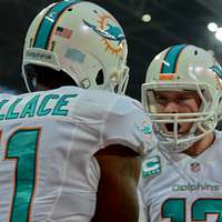 Miami Dolphins wide receiver Brandon Marshall smiles - NARA & DVIDS Public  Domain Archive Public Domain Search