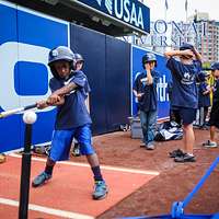 Clark the Cub surprises fans around town with 'W' flags, posters – Sun  Sentinel