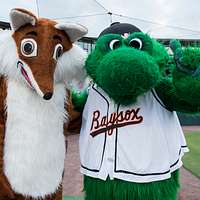 Atlanta Braves mascot, Homer, walks onto the field - PICRYL