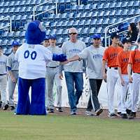 Atlanta Braves mascot, Homer, walks onto the field - NARA & DVIDS