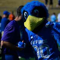 File:Blitz Seattle Seahawks Mascot.jpg - Wikimedia Commons