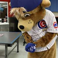 Clark the Cub surprises fans around town with 'W' flags, posters – Sun  Sentinel