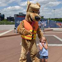 Clark the Cub surprises fans around town with 'W' flags, posters – Sun  Sentinel