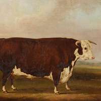 File:William Henry Davis (1786-1865) - Prize Cow and Calf - 609118