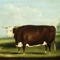 File:William Henry Davis (1786-1865) - Hereford Cow - 609113