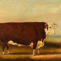 File:William Henry Davis (1786-1865) - Prize Cow and Calf - 609118