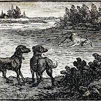File:Rabier - Fables de La Fontaine - Le Loup et les Bergers.jpg -  Wikimedia Commons