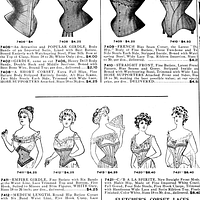 Picryl description: Public domain image of a 19th-century corset, fashion,  free to use, no copyright restrictions. - PICRYL - Public Domain Media  Search Engine Public Domain Image
