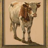 Hereford Bull: 'Walford' by William Henry Davis Reproduction